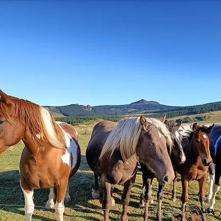 Roulottes - Les Lits De Berger Parque de Campismo Saint-Front (Haute-Loire)