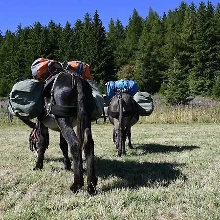 Roulottes - Les Lits De Berger Saint-Front (Haute-Loire)